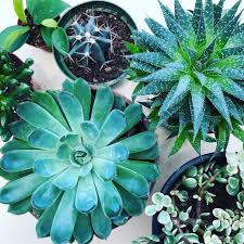 Up to 15% off with minimum spend. Gardener S Supply Garden Centers