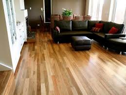 An australian eucalyptus tree, eucalyptus maculata | meaning, pronunciation, translations and examples. Nsw Spotted Gum Flooring Nationwide Timber