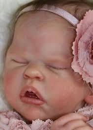 Top rose reborn kit Outlet Black Friday