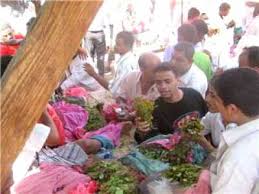 Catha edulis) هو أحد النباتات المخدرة التي تنبت في شرق أفريقيا واليمن ، تحتوي نبتة القات على مينوامين شبه قلوي يدعى الكاثينون وهو شبيه بأمفيتامين منشط، وهو مسبب لانعدام الشهية وحالة النشاط الزائد صنفته منظمة الصحة. Ø§Ù„Ø­Ø¯ÙŠØ¯Ø© Ø¨Ø§Ø¦Ø¹ÙŠ Ø§Ù„Ù‚Ø§Øª Ø§Ù„Ø´Ø§Ù…ÙŠ ÙŠØ·Ø§Ù„Ø¨ÙˆÙ† Ù…Ø³Ø§ÙˆØ§ØªÙ‡Ù… Ø¨Ø¨Ø§Ø¦Ø¹ÙŠ Ø§Ù„Ù‚Ø§Øª Ø§Ù„Ø¢Ø®Ø±ÙŠÙ† Ø§Ù„Ø­Ø¯ÙŠØ¯Ø© Ù†ÙŠÙˆØ²