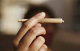 Pre Rolls: What They Are, The Best Brands - Cannabismo
