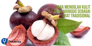 Untuk mengantisipasi penyakit ini, anda juga harus tahu penyebab dan gejala masuk. Cara Mengolah Kulit Buah Manggis Sebagai Obat Tradisional