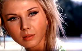 The Battle of the Last Panzer review - The Grindhouse Cinema Database