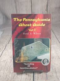 A Storm in the Wind : A Pennsylvania Love Story by Patty A. Wilson (2013,  Trade