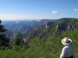Mather campground is located on the south rim of grand canyon national park in northern arizona. An Insider S Guide To Camping Near The Grand Canyon