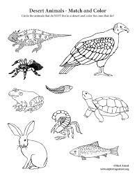 Animal coloring pages are pages in which pictures are drawn in black and white format. Desert Animals Match And Color
