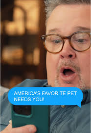 Americas Favorite Pet Finalist 2025 Enzo