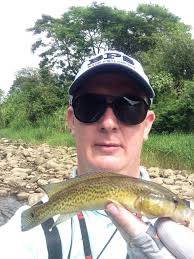 Conteúdo de Sergio Renato Ristow