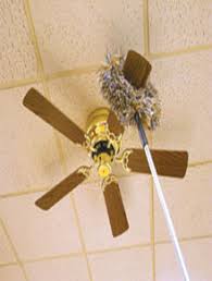 Wooly Bully Fan Duster Stanley Home Products Cleaning Ceiling Fans Ceiling Fan Cleaning