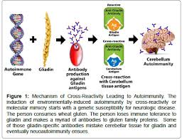 correlation of tissue antibodies and food immune reactivity