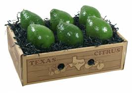 I add almond butter, almond milk, chia seeds, and cacao powder for a tasty breakfast that's ready in minutes. South Texas Lula Avocados 6 Crockett Farms