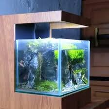 Bahan yang diperlukan untuk membuat aquarium minimalis adalah: Jual Produk Aquarium Minimalis Termurah Dan Terlengkap Juli 2021 Bukalapak