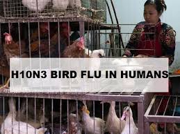 The first human case was reported in 2021. Gflzkdzqnbyzjm