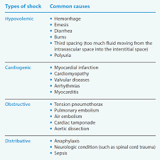 Caring For Patients Receiving Vasopressors In The Icu