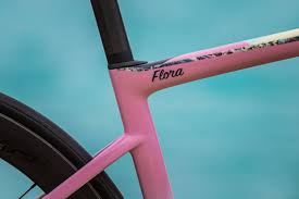 Flora got married to dan hugo who is also an xterra triathlete from stellenbosch in south africa. The Bermuda Themed Specialized Tarmac Of Flora Duffy Slowtwitch Com