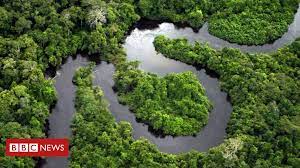 Amazon rainforest destruction is accelerating, shows government data. Amazon Rainforest Plots Sold Via Facebook Marketplace Ads Bbc News