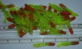 50 Pack Crappie Jig Skirts Choose Color Or Chart Black Lime Black White Other Ebay