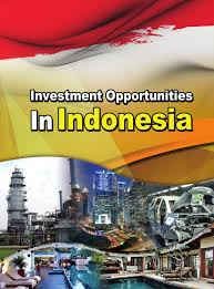 Spesifikasi oppo neo 7 pada bagian display juga sudah diaplikasikan fitur tampilan antarmuka color os teranyar khas samsung salah satu keunggulan oppo mirror 5 ini adalah terletak pada bagian konektivitasnya. Investment Opportunities In Indonesia By Pidii Issuu