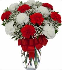 White carnation flowers near me. Loving Red And White Carnation Vase Vase Arrangement In Elkton Md Fair Hill Florist