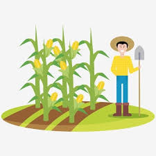 31+ agriculture icon png images for your graphic design, presentations, web design and other projects. Maizal Maiz Rural Arado De Primavera Tierras De Cultivo Agricultor Granja Png Y Vector Para Descargar Gratis Pngtree Grafico Vectorial Dibujos Imagenes De Dibujos