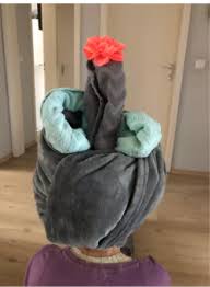Momentan fehlen mir nur echt die ideen was wir machen können und mir fällt langsam die decke auf den kopf. Projekttag Der Klasse 6c Mir Fallt Die Decke Auf Den Kopf