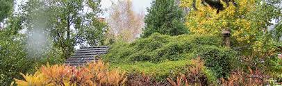 Maybe you would like to learn more about one of these? Evergreen Tree Guide At Portland Nursery And Garden Center