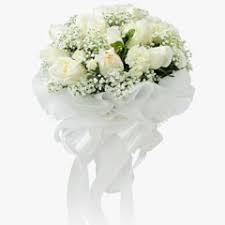 Maybe you would like to learn more about one of these? Send Sympathy Flowers To India Online Sympathy Flower Delivery In India Florist In India Flora Zone
