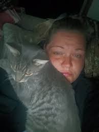 Lost cat Jax in Kokomo area near North Indiana and Kirk Street