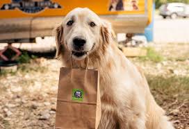 The current median price of jack russell terriers in pennsylvania is $522.50. Meet Lily Austin S Tiktok Famous Delivery Dog Austin Monthly Magazine