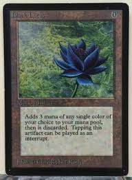 1x carpet of flowers 1x utopia sprawl 1x wild growth 1x animate dead 1x bitterblossom 1x dreadhorde invasion 1x survival of the fittest 1x sylvan library 1x contamination 1x pernicious deed planeswalker (2) 1x liliana of the veil 1x vraska, golgari queen. 330 Magic The Gathering Ideas Magic The Gathering The Gathering Magic The Gathering Cards
