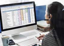 Microsoft Excel - Level 1