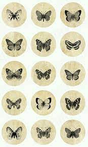 3rd Down On Left Side Vintage Butterfly Tattoo Butterfly Tattoo Designs Butterfly Tattoo