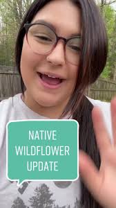 Mckenzie Wildflower Seeds Alberta