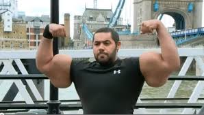 Image result for biggest biceps in world