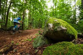 Image result for k%u0159i%u017E k pruhovan 