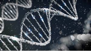 Image result for Khazar people