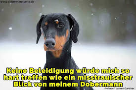Dobermann Zitate Und Spruche Dobermannseite De