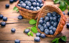 To make a simple puree, you need one cup of blueberries with a ½ cup of purified water. Can Hamsters Eat Blueberries Vet Explains Pets