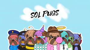 Solpugs To Build Nft Based Gaming Marketplace On Solana To Laun The Cowboy Channel