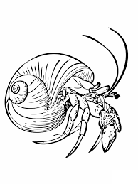 Free Printable Hermit Crab Coloring Pages For Kids Animal Coloring Pages Coloring Pages For Kids Coloring Pages