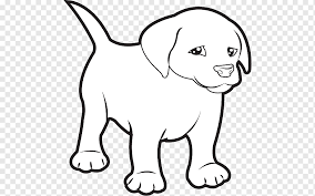 Check spelling or type a new query. Puppy Labrador Retriever Black And White Puppy White Mammal Animals Png Pngwing