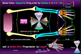 Internal Stargate Series by John Fanuzzi Portal Internal Stargate Golden  Ratio (Phi) Platonic Solids Nesting A Mother Look Crystal Packing Waves  Stellations Deep Cube GeoNumerology Numbers Words 9 Angles Incubation Time  11:11 Invocation Violet ...