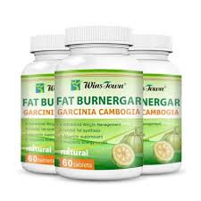 Image result for Garcinia buchneri