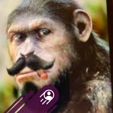 Freethrow Merchant(left) and Hayzelnut(right) are brothers, but look like  twins!