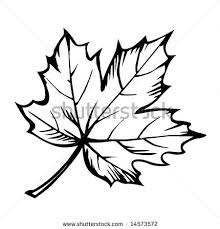 Black And White Outline Fall Tree Clipart Maple Leaf Clipart Black And White Clipart Panda Free Clipart Maple Leaf Tattoos Maple Leaf Tattoo Leaves Sketch