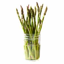Image result for Asparagus petersianus