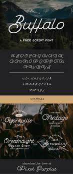This premium free font is vintage themed and perfect for branding and promotional projects! Showcase And Discover Creative Work On The World S Leading Online Platform For Creative Industries Free Script Fonts Script Fonts Script Typeface