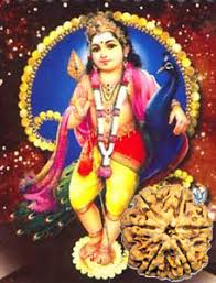 Ikonografie kartikeya se výrazně liší; Relation Between Ganesha Kartikeya Rudrakshagemstones