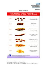 Ppt Pgn 16 App2 Bristol Stool Chart V03 Issjan16 Cumbria