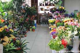 U+25ce, pictograma este inclusă în bloc: Punct Ochit Punct Lovit Florarii Au Fost ControlaÅ£i De PoliÅ£isti In Cea Mai AglomeratÄ Perioada Din Activitatea Lor Gura Ialomitei Com